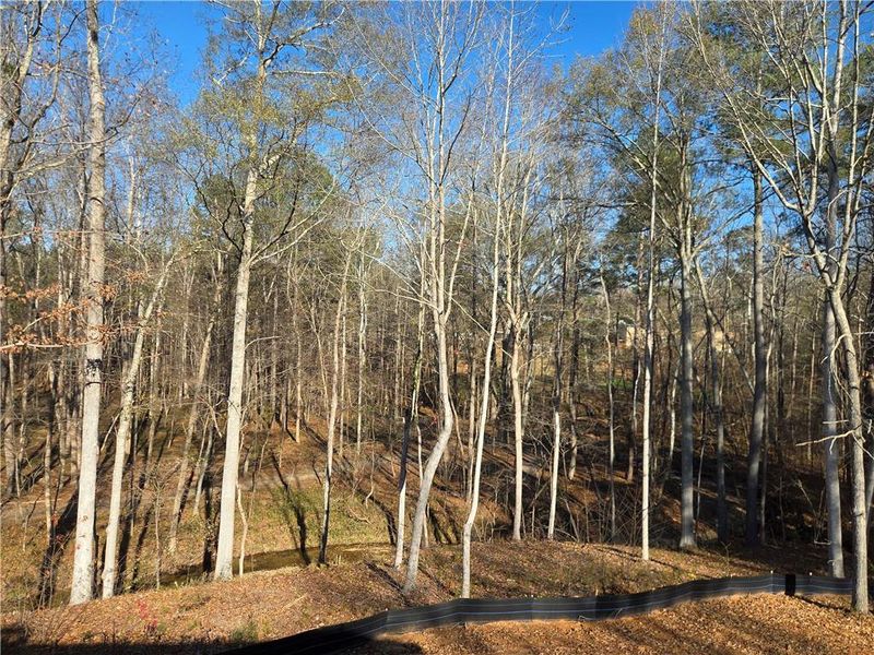 Natural landscape and outdoor views near in Dallas (Image 26). Natural landscape and outdoor views near in Dallas (Image 26).