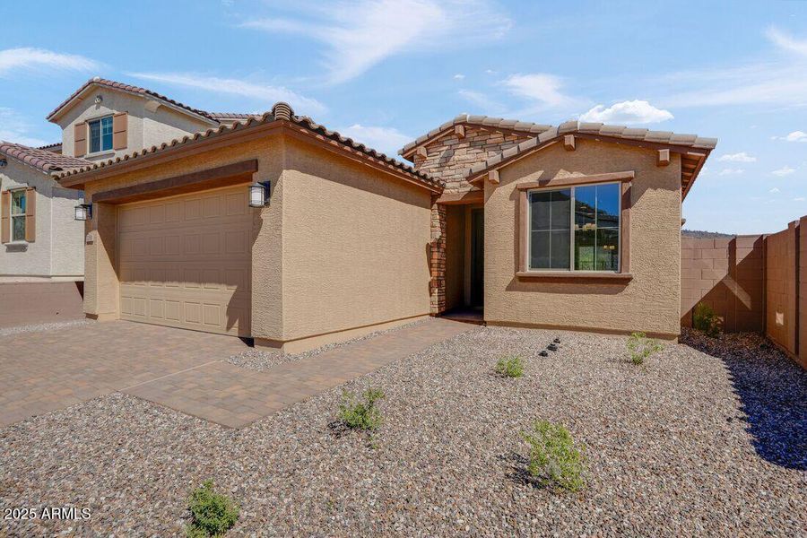 hj-az-phoenix-mystic-discovery-lily-lot-