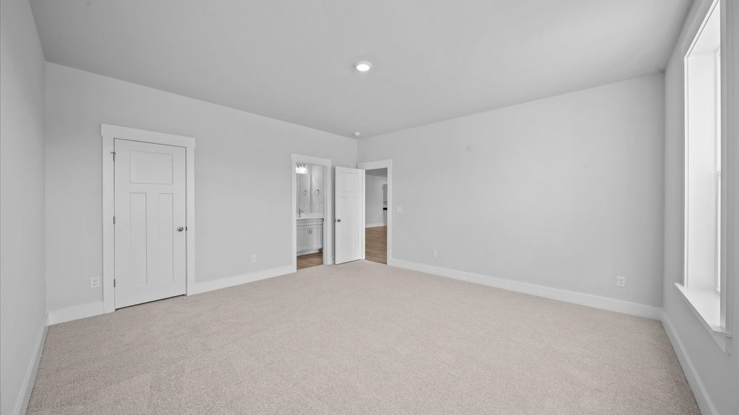 Highly functional basement bedroom with walk-in closet and tasteful carpet for a restful retreat