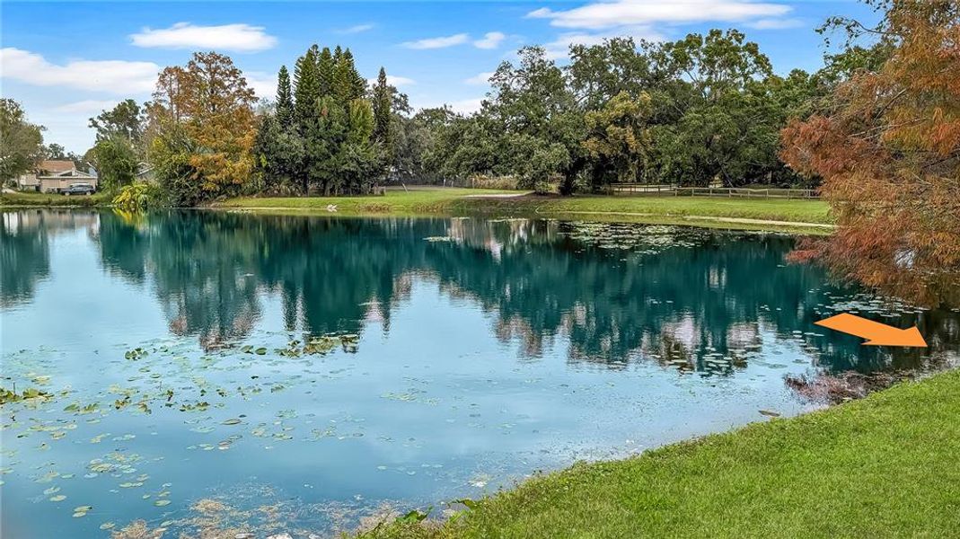 Natural landscape and outdoor views near  in Orlando (Image 26).