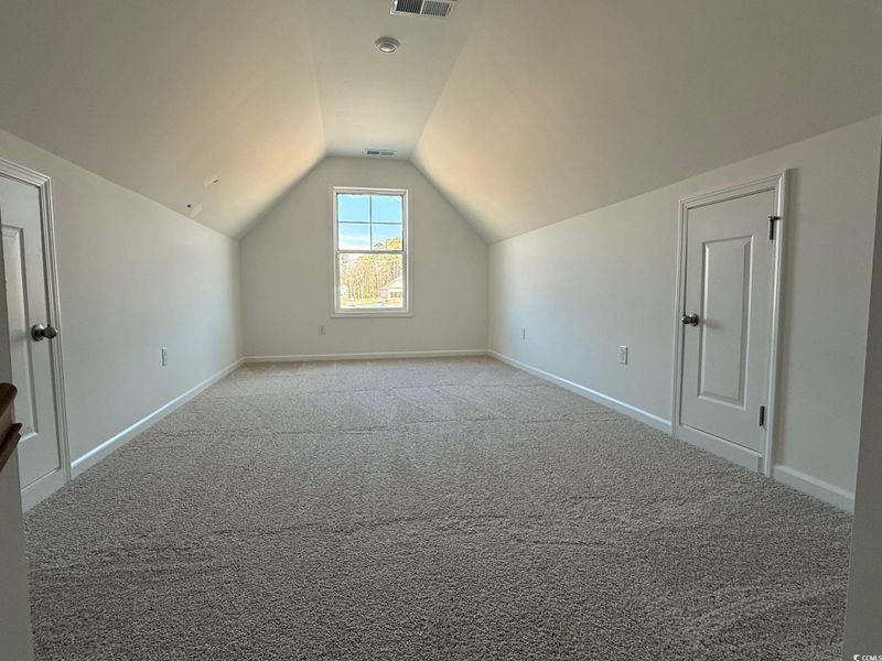 Bonus room with lofted ceiling and carpet flooring
