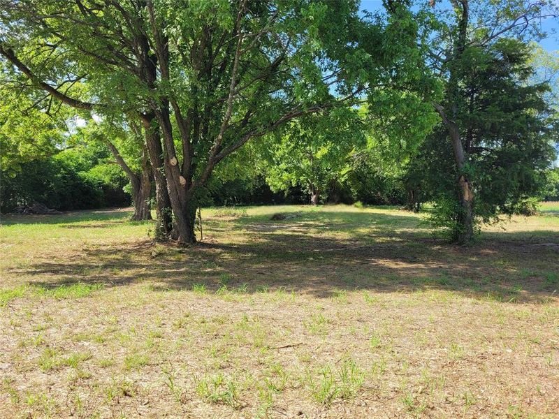 View of grassy yard View of grassy yard