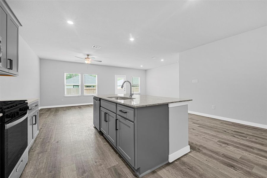 Spacious Island and open concept.