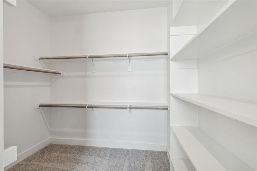 Walk in closet featuring light colored carpet