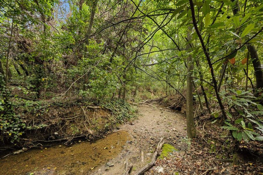 Natural landscape and outdoor views near  in Canton (Image 29).