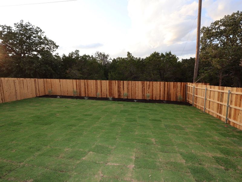 Backyard