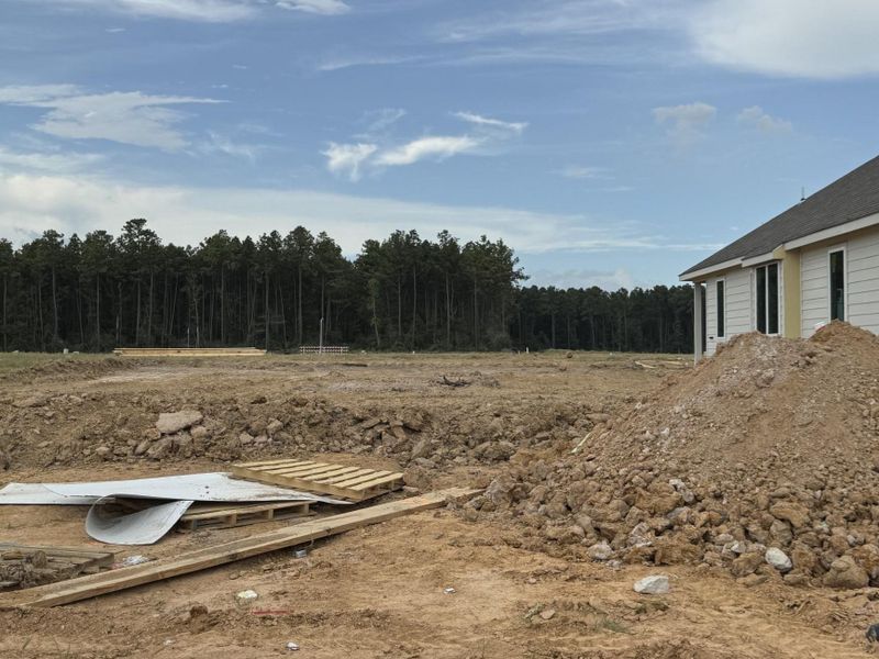 Site preparation for new homesites in Granger Pines, Conroe (Image 24). Site preparation for new homesites in Granger Pines, Conroe (Image 24).