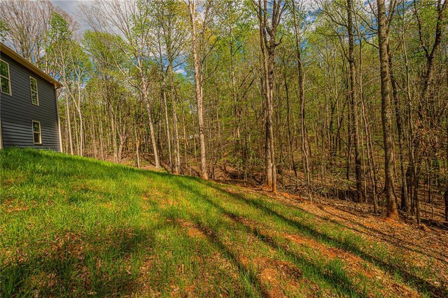 Natural landscape and outdoor views near  in Murrayville (Image 74).