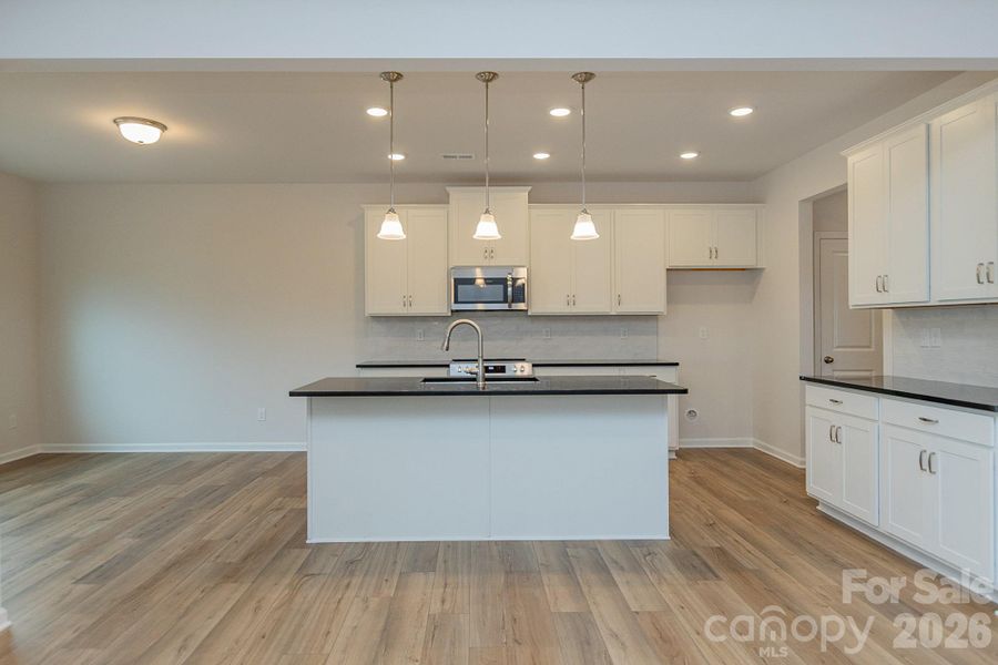 Furnished interior view inside a new home in Pine Bluff, Midland (Image 4).