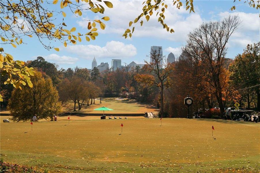 Natural landscape and outdoor views near  in Atlanta (Image 48).