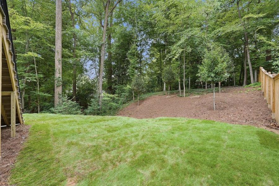 Natural landscape and outdoor views near  in Atlanta (Image 94).