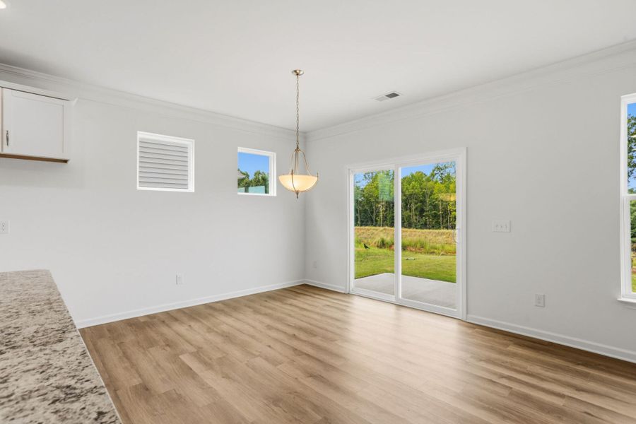 Spacious, unfurnished interior of a new home in Bellevue, Greenville (Image 12).