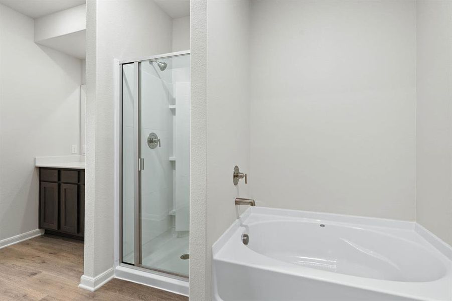 Bathroom with a garden tub, a shower stall, light wood-style floors, and vanity