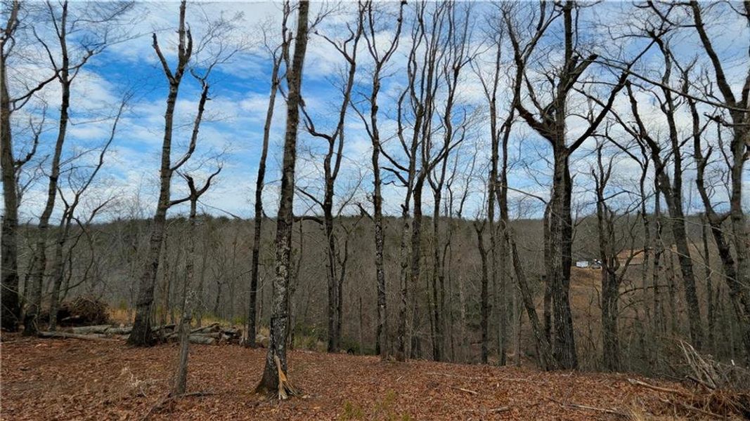 Natural landscape and outdoor views near in Dahlonega (Image 49). Natural landscape and outdoor views near in Dahlonega (Image 49).