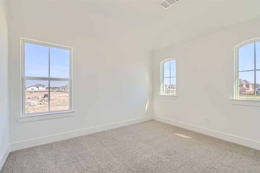 Carpeted spare room with a wealth of natural light