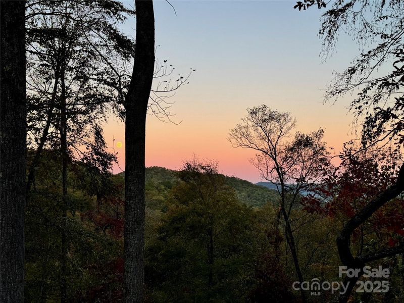 Natural landscape and outdoor views near  in Hendersonville (Image 26).