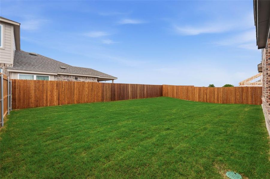 Expansive backyard featuring a lush green lawn