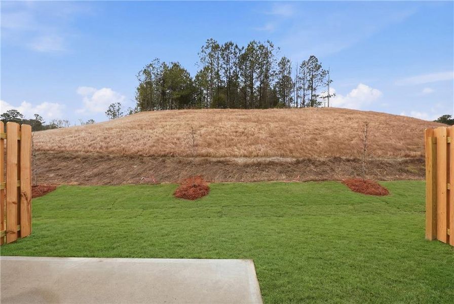 Site preparation for new homesites in Moss Creek, Hogansville (Image 29).