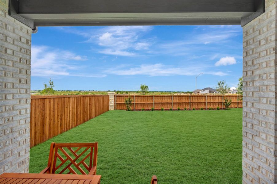 Backyard Backyard