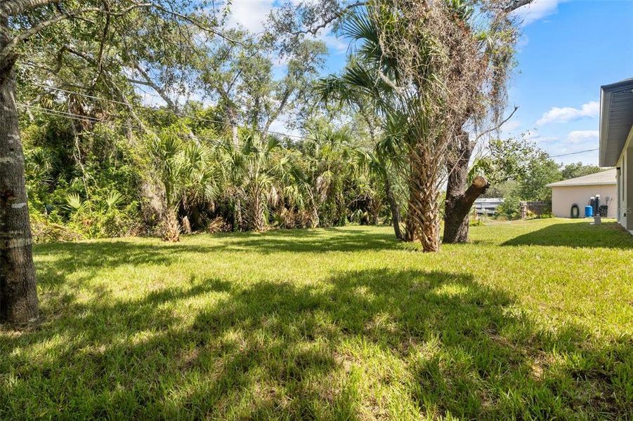 Natural landscape and outdoor views near  in Port Charlotte (Image 49).