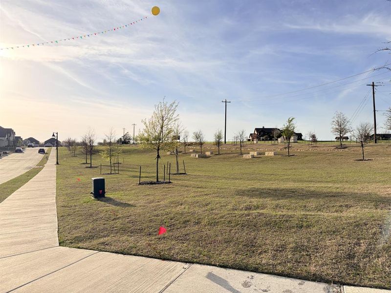 Community amenities in Cottages of Celina, Celina (Image 22).