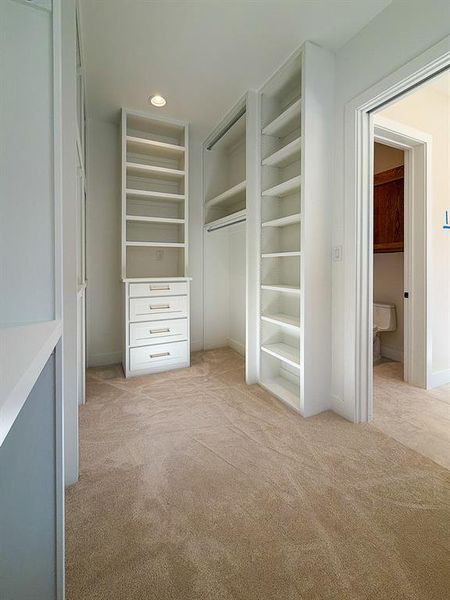 Walk-in closet featuring built-in shelving, integrated drawers with brushed nickel hardware, hanging rods, recessed lighting, and neutral carpeting
