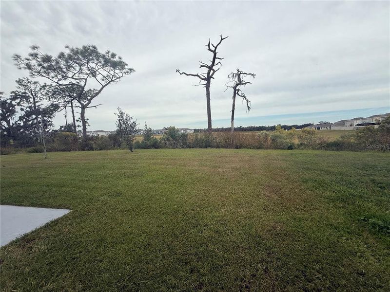 Natural landscape and outdoor views near Westgate at Avalon Park in Wesley Chapel (Image 17).