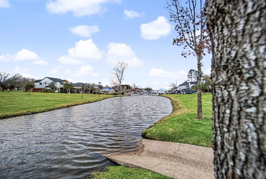 Natural landscape and outdoor views near  in Willis (Image 40).