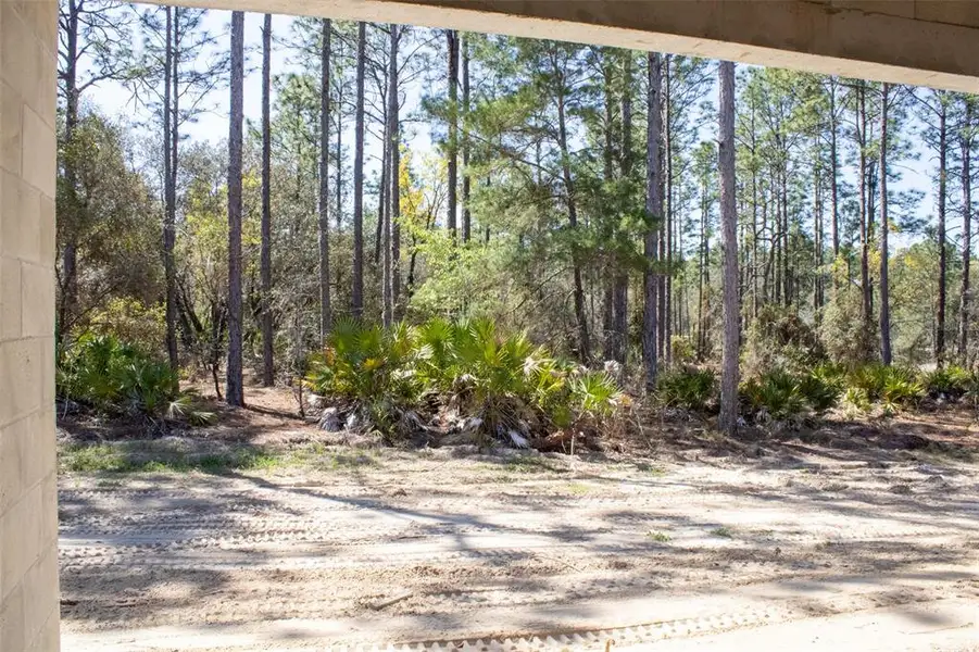 Natural landscape and outdoor views near Pine Ridge Estates in Beverly Hills (Image 11).