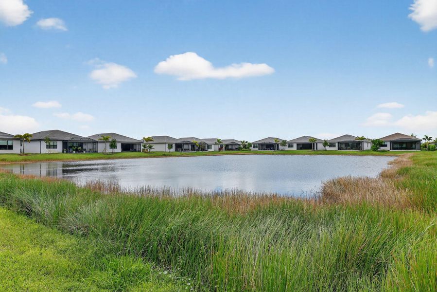 Natural landscape and outdoor views near  in Port St. Lucie (Image 18).