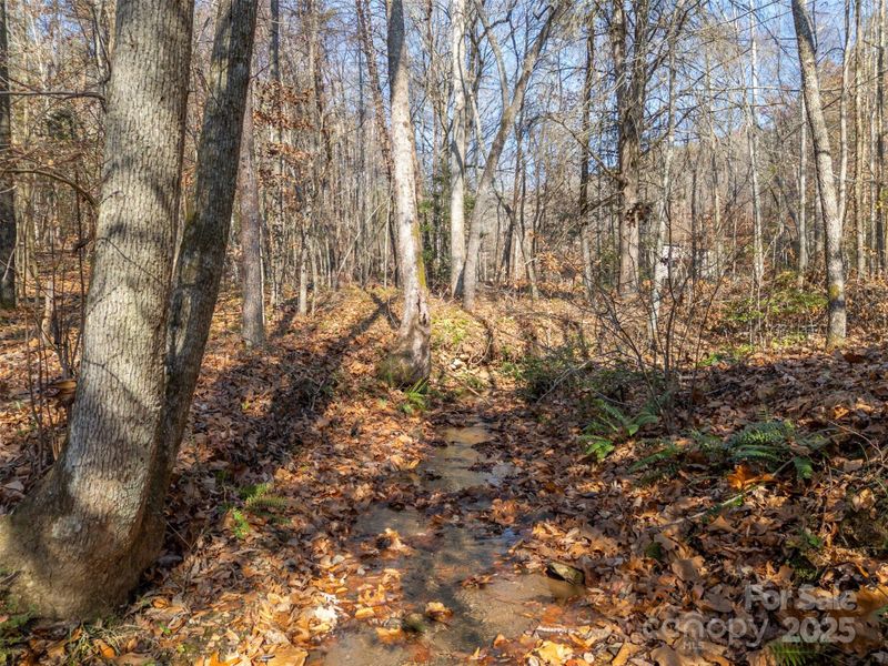 Natural landscape and outdoor views near in Union Mills (Image 18). Natural landscape and outdoor views near in Union Mills (Image 18).