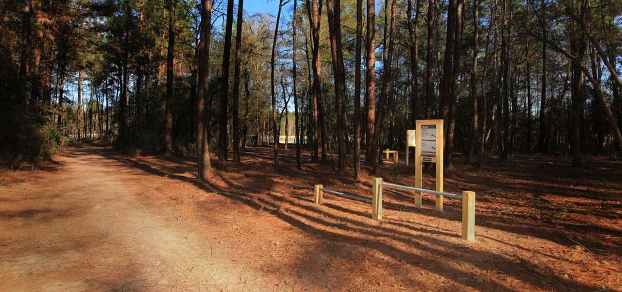 Community amenities in Artavia, Conroe (Image 10).