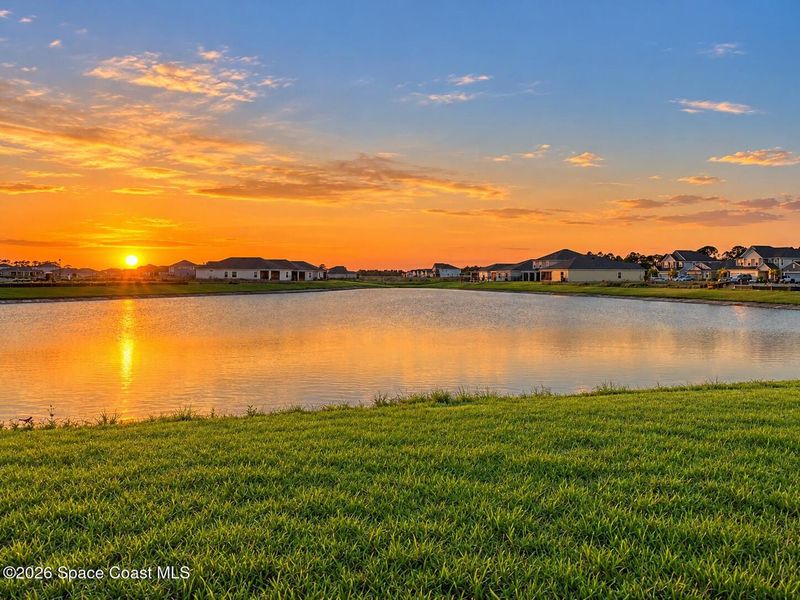 Natural landscape and outdoor views near St. John's Preserve in Palm Bay (Image 19). Natural landscape and outdoor views near St. John's Preserve in Palm Bay (Image 19).
