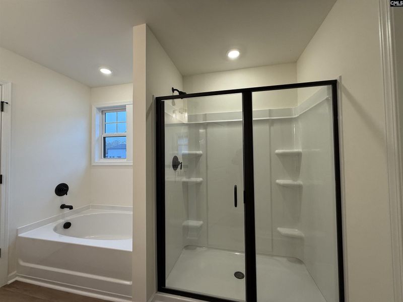 Furnished interior view inside a new home in Dunbar Village, Cayce (Image 16).