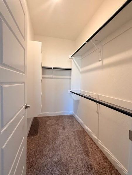 Spacious, unfurnished interior of a new home in , Venus (Image 30).