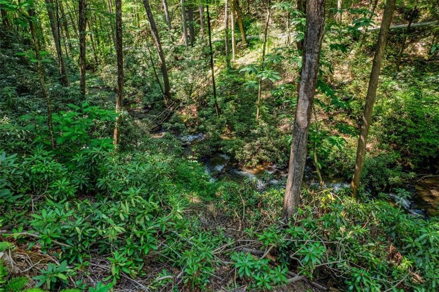 Natural landscape and outdoor views near in Blue Ridge (Image 24). Natural landscape and outdoor views near in Blue Ridge (Image 24).