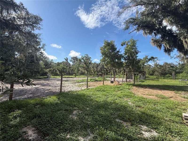 Natural landscape and outdoor views near  in Parrish (Image 23).