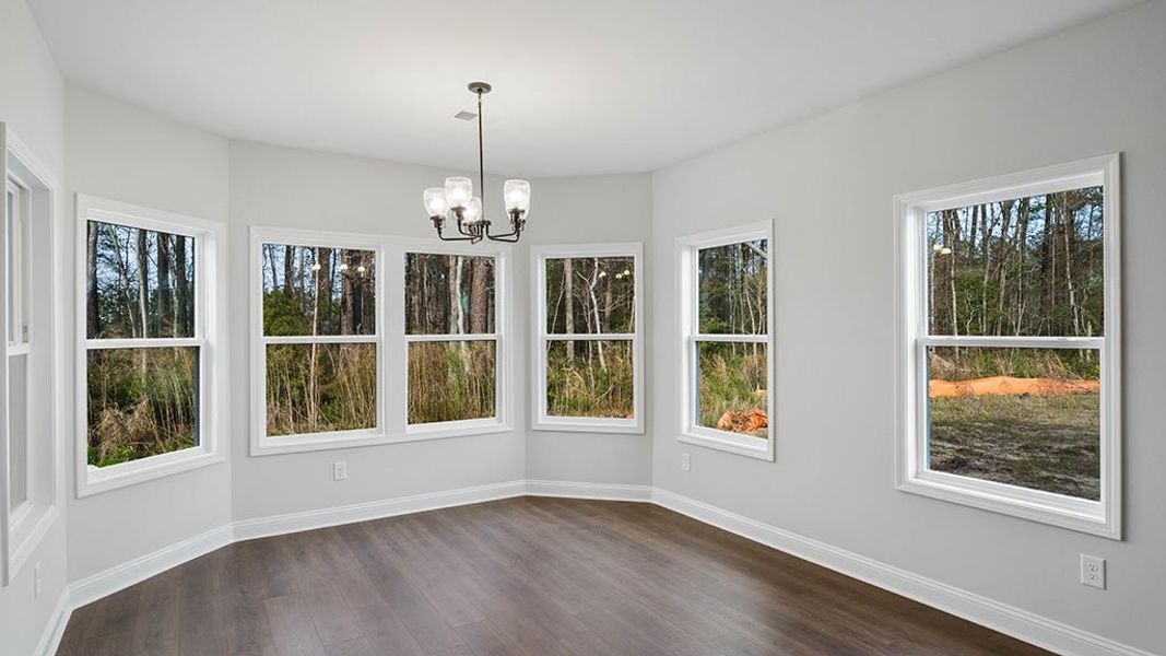 Conway, SC New Home.  - Slide 4