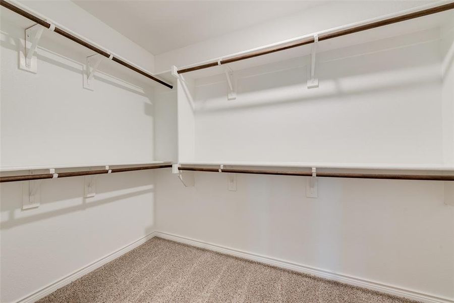 Spacious closet featuring carpet flooring