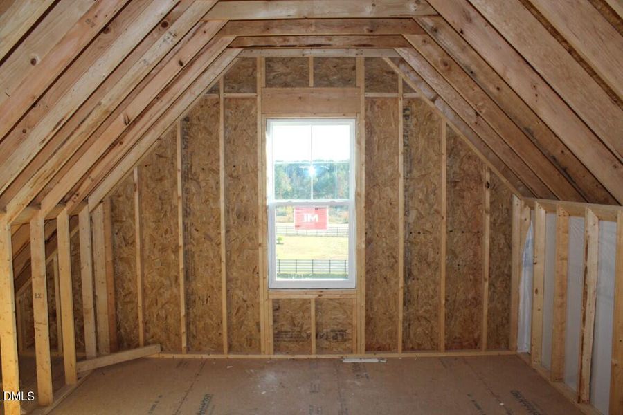 IMG_6969 (Medium) IMG_6969 (Medium)