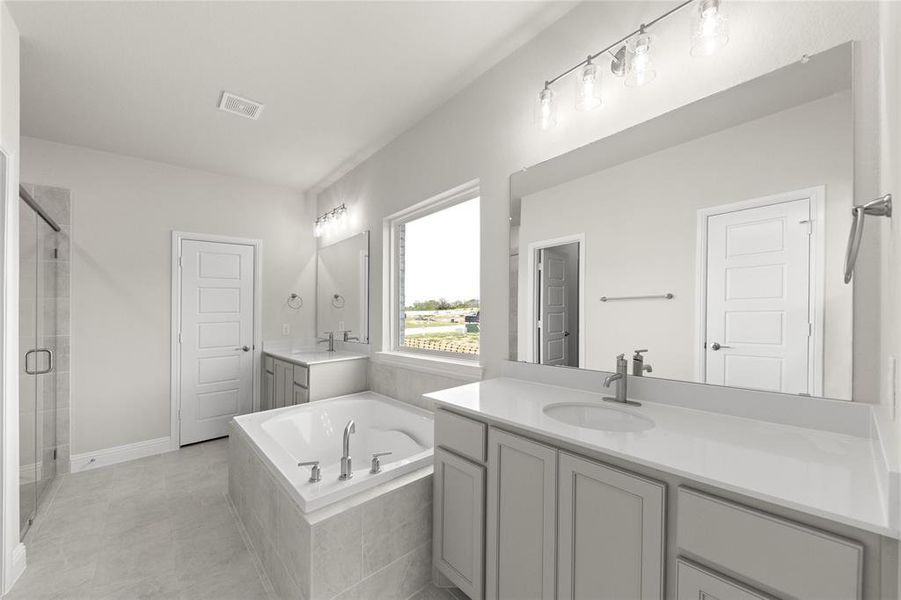 12_Grapevine II_Representative Photo