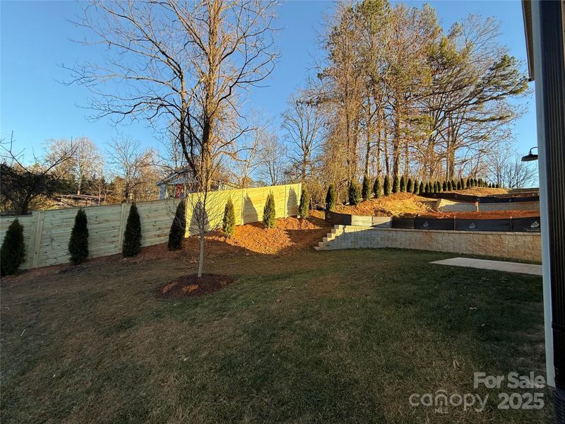 new fencing and trees added for privacy