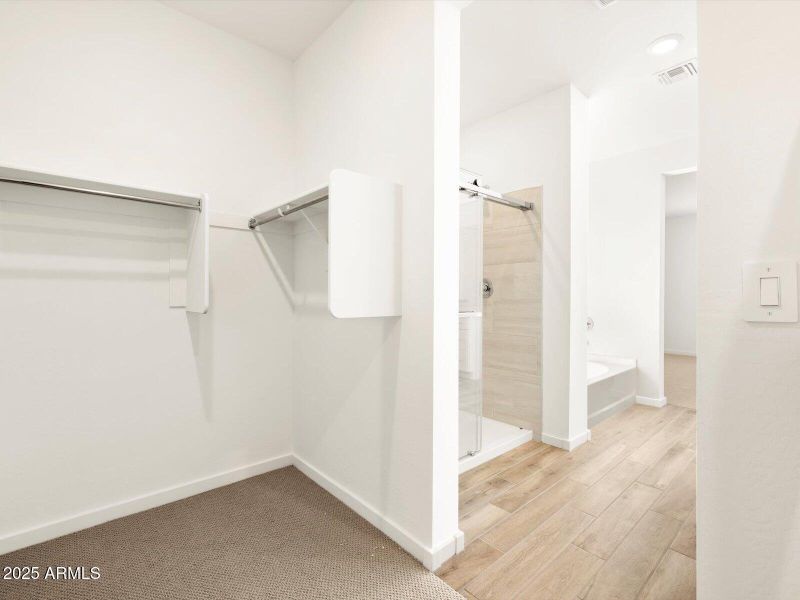 Walk-In Closet View 2