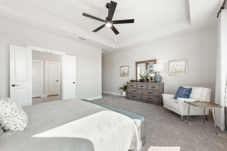 Master bedroom with tray ceiling, ceiling fan, carpet floors, and wood dresser with mirror Master bedroom with tray ceiling, ceiling fan, carpet floors, and wood dresser with mirror