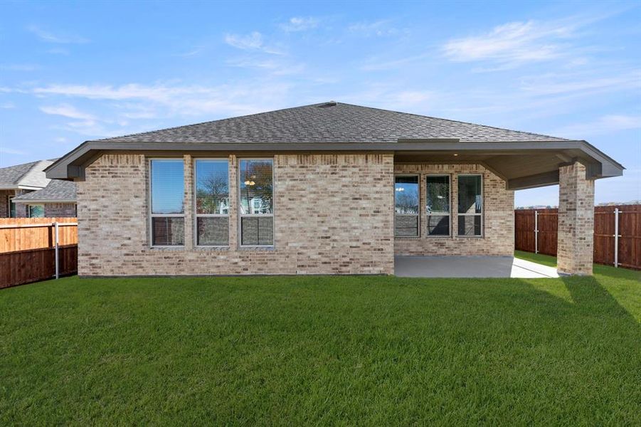 27. 103 Whistling Duck - Back