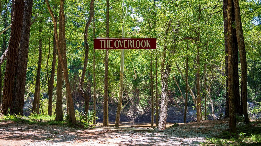 Image 19 of a home in The Highlands 65'.