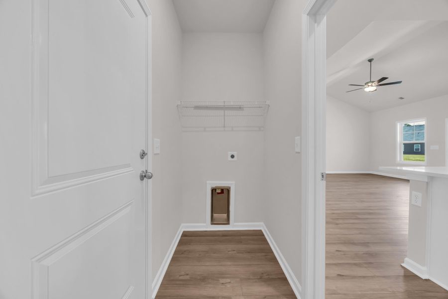 26_tg4_1531 26_tg4_1531