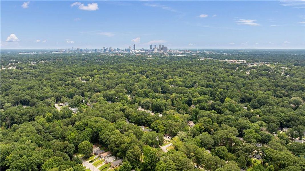 Natural landscape and outdoor views near  in Atlanta (Image 41).