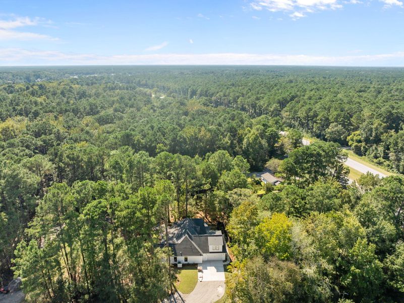 Natural landscape and outdoor views near  in Awendaw (Image 24).