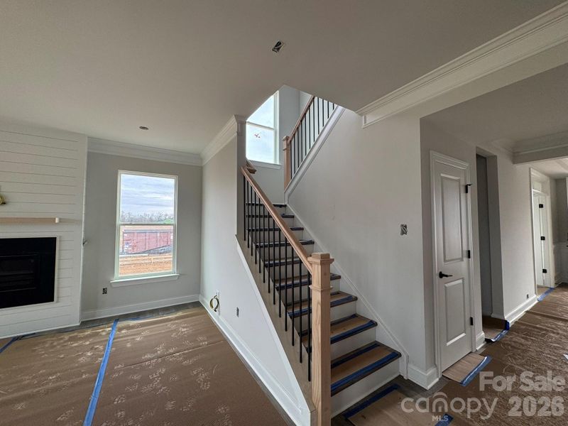 The Colfax E on Homesite 151